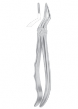 Fig. 51L upper roots 
